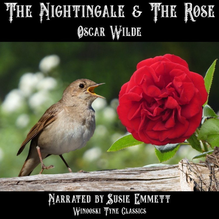 The Nightingale & The Rose by Oscar Wilde audiobook, narrated by Susie Emmett